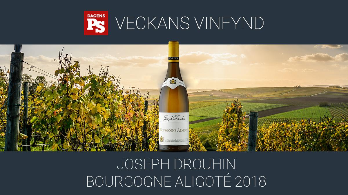Veckans vinfynd Drouhin Bourgogne Aligoté 2018 är ett prisvärt alternativ till chablis- eller bourgogneviner gjorda av Chardonnay, anser vår vinexpert.