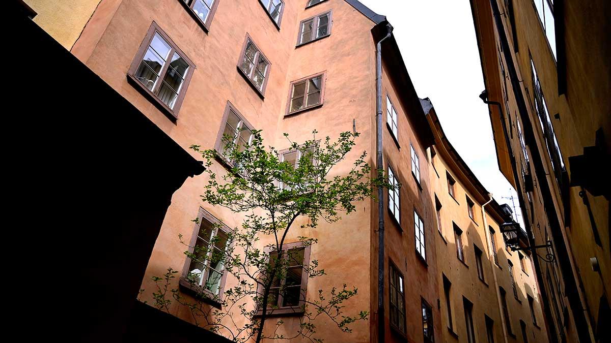 Hoppet om stigande bopriser börjar spira igen bland hushållen, visar SEB:s boprisindikator. Bilden är från Gamla stan i Stockholm. (Foto: TT)