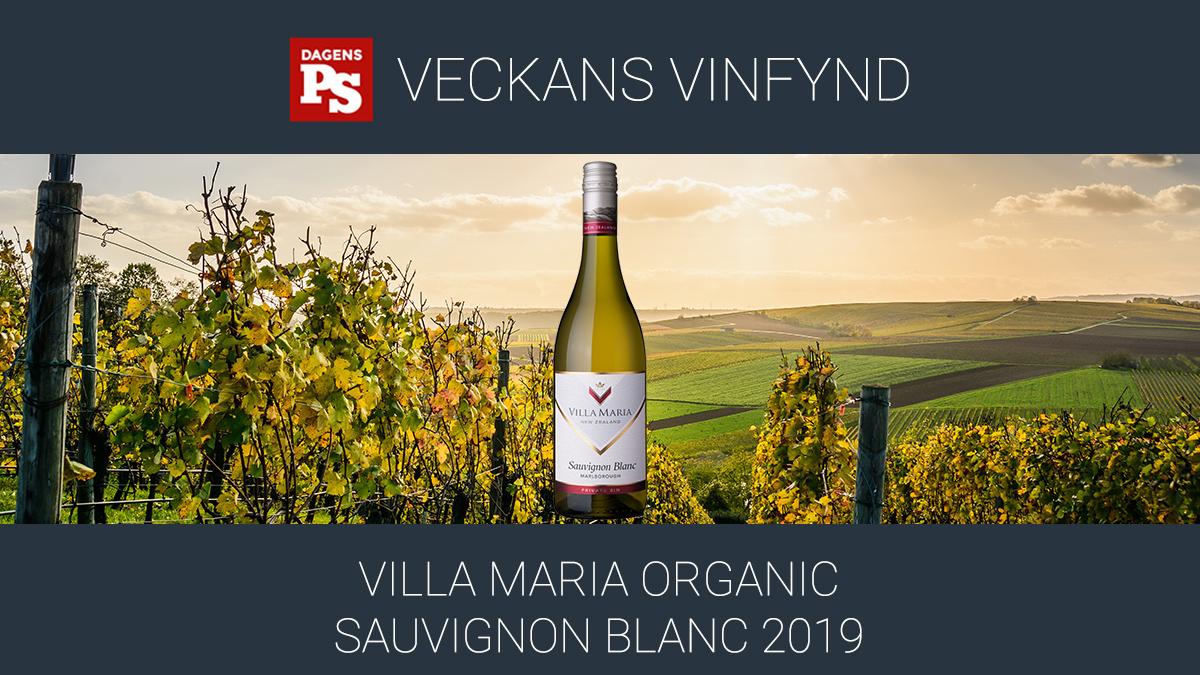Veckans vinfynd Villa Maria Organic Sauvignon Blanc 2019 kommer från Nya Zeeland. Är det värt att frakta det hela vägen hit?