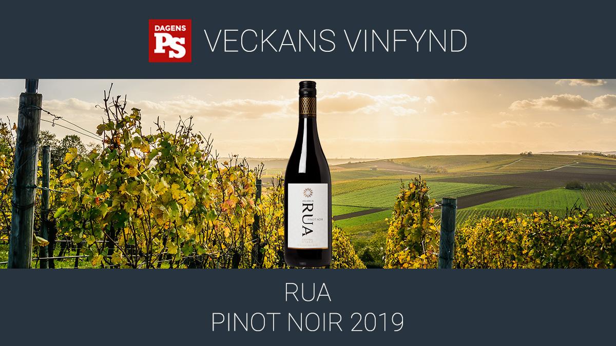 Vingårdarna på Nya Zeeland som Veckans vinfynd Rua Pinot Noir kommer ifrån ligger på en breddgrad som motsvarar Bourgogne.
