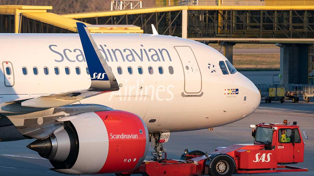 Flygbolaget SAS drar ned sin flygkapacitet efter att europeiska länder har infört ytterligare coronarestriktioner. (Foto: TT)