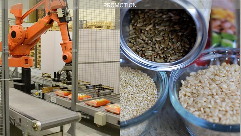 Höglönsam svensk risfabrik gör nyemission