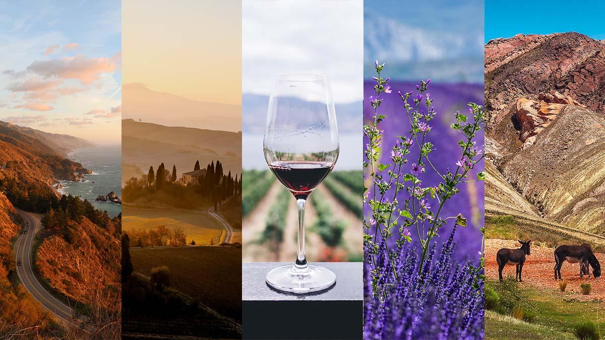 Vår vinexpert har valt ut 5 vinfynd från 5 olika länder som passar till årstidens mat. vinfynd