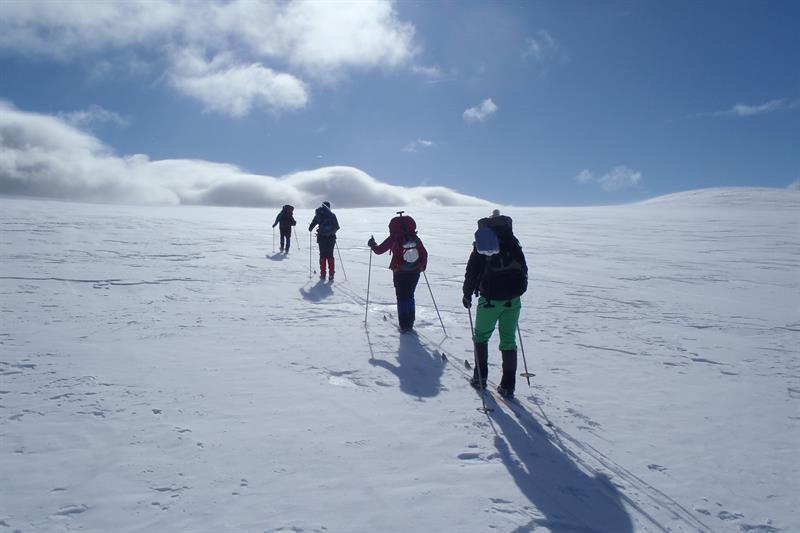 Röros är Norges kallaste plats och brukar vara snösäkert. (Foto: Roros.no)