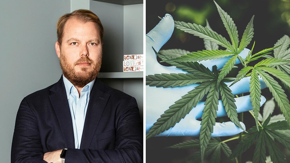 Cannabis-aktier, David Bonnier