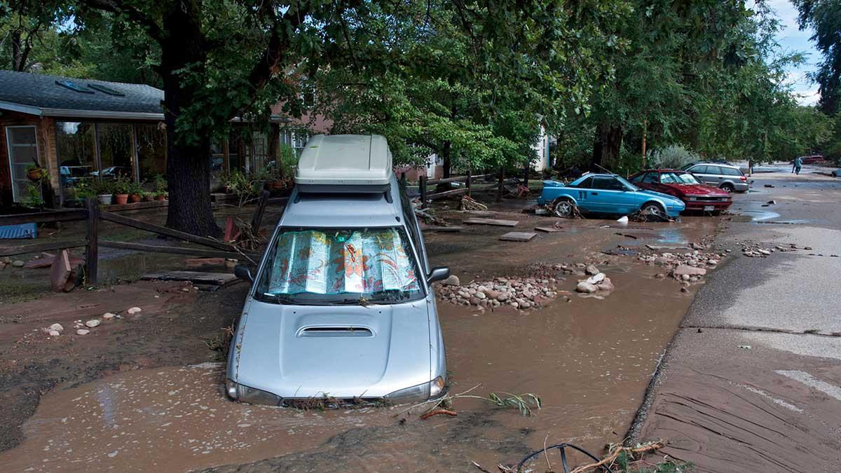 Naturkatastrofer har kostat försäkringsbranschen 76 miljarder dollar, motsvarande 637 miljarder kronor, under 2020, enligt preliminära siffror. (Foto: TT)