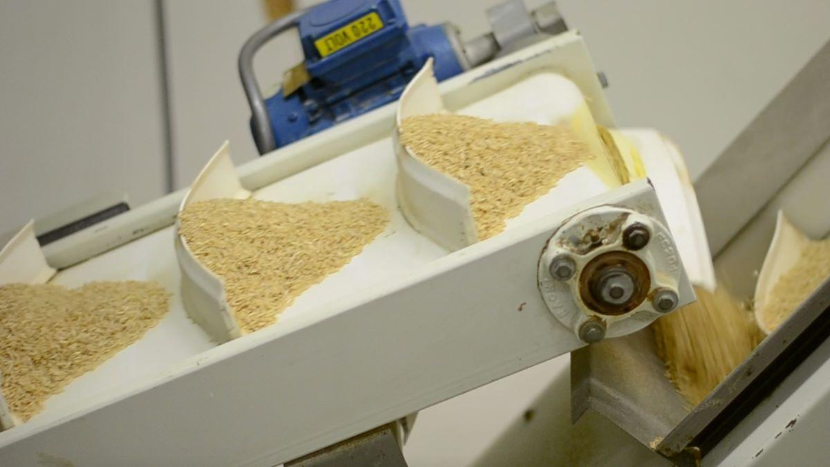 Efter ett stort intresse för bolaget förlänger Nordic Rice teckningstiden i den pågående nyemissionen. (Foto: Press)
