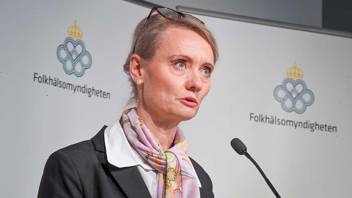 Karin Tegmark Wisell, avdelningschef, Folkhälsomyndigheten