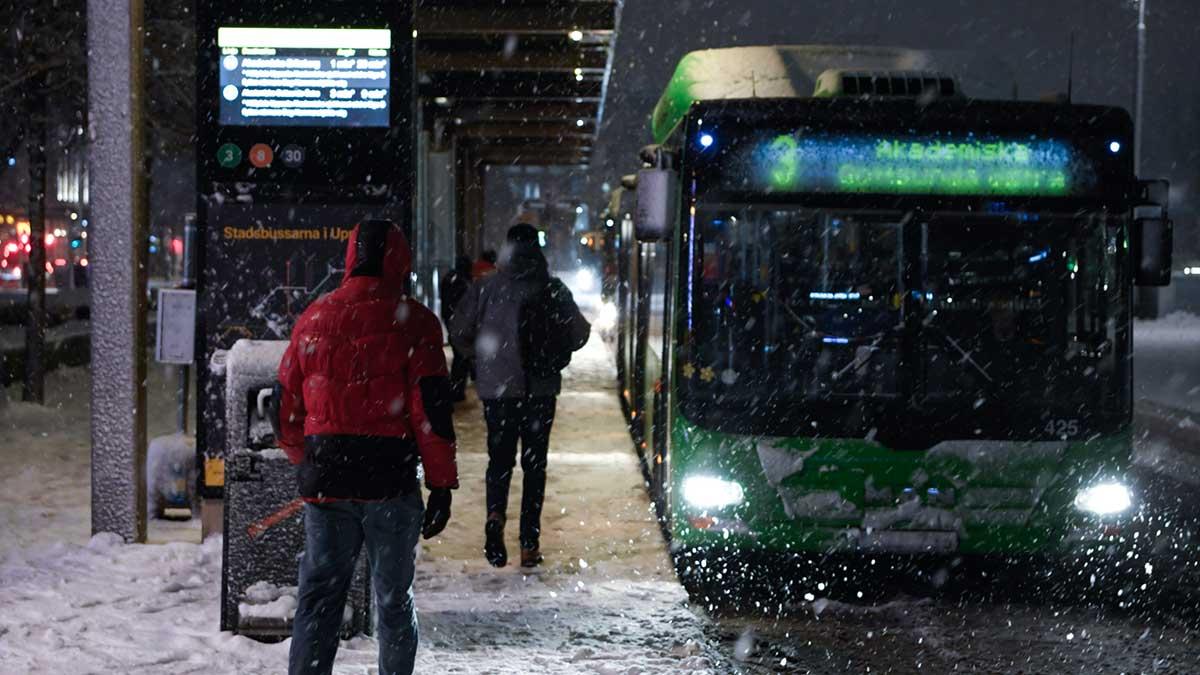 Det är inte bara Norrland, även Uppsala är drabbat av snöyran som nu lamslår delar av landet. (Foto: TT)