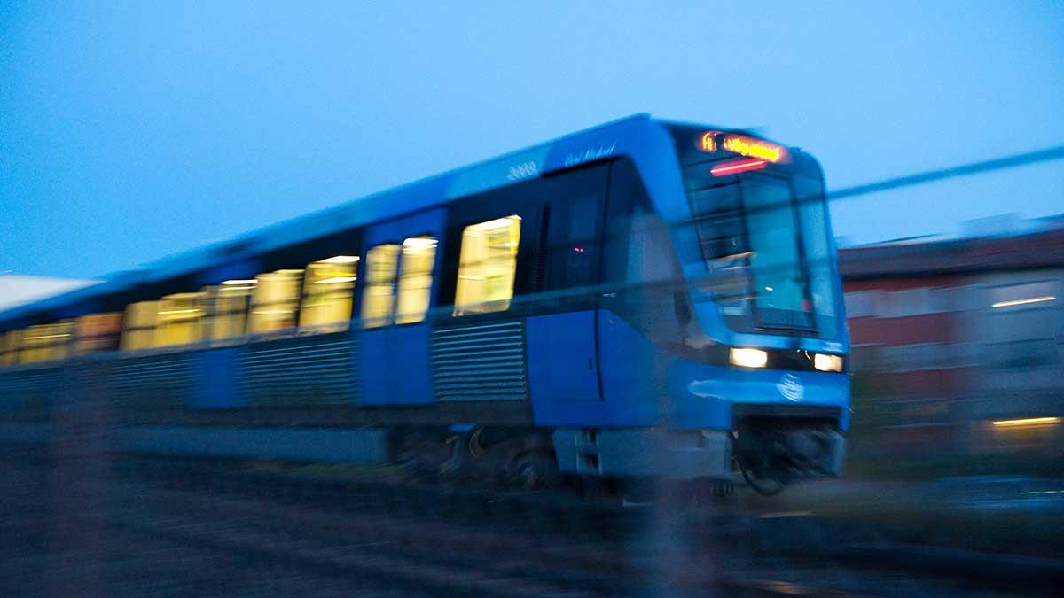 Debattörerna uttrycker oro för att Sverige ska missa tåget när andra EU-länder storsatsar på gröna linjen. (Foto: TT)