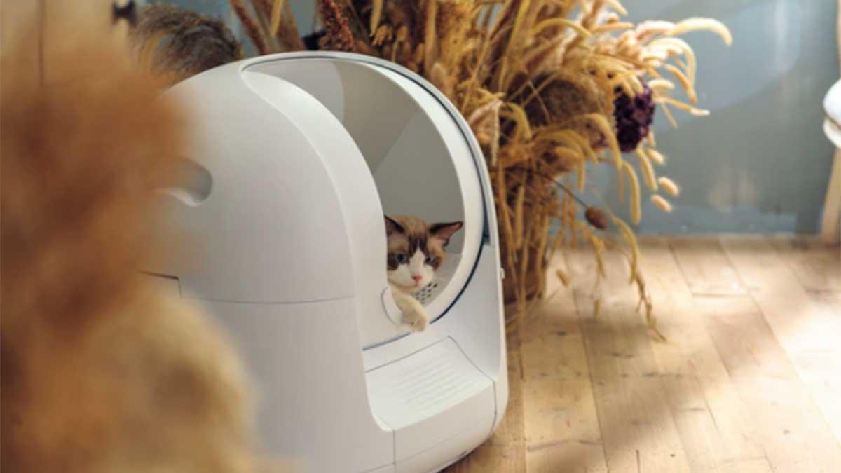 Här är kattlådan som sköter sig själv. Perfekt för kattälskare och smarta hem-entusiaster. (Foto: Skärmdump från Kickstarter)