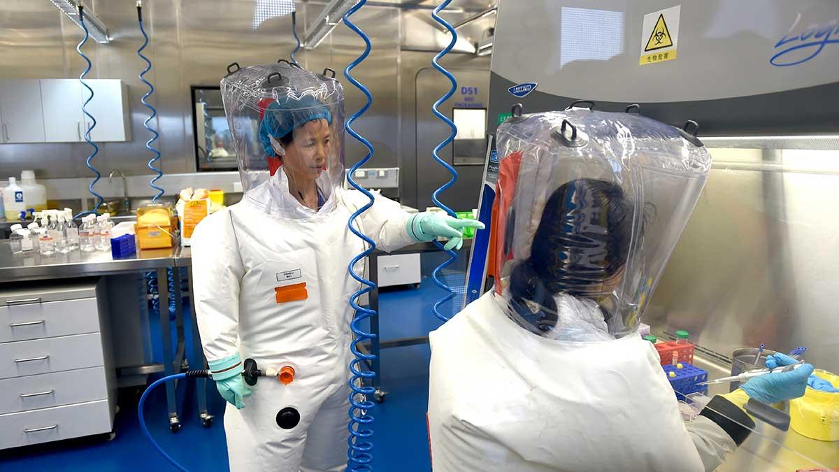 WHO är på plats i Wuhan i Kina för att spåra virusets uppkomst och utesluter inte att det har sitt ursprung i laboratorium. Bilden är från Wuhans virologiinstitut och tagen vid ett tidigare tillfälle. (Foto: TT)