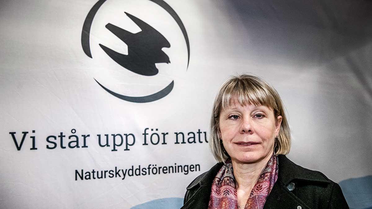 "Vår granskning visar att det är väldigt svårt att få bolag som livnär sig på utvinning av fossila bränslen att ställa om", säger Naturskyddsföreningens generalsekreterare Karin Lexén. (Foto: TT)