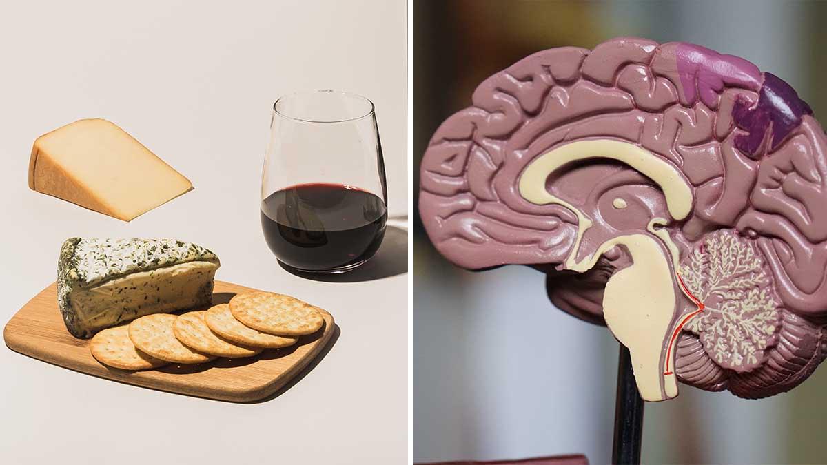 ost och vin, hjärna