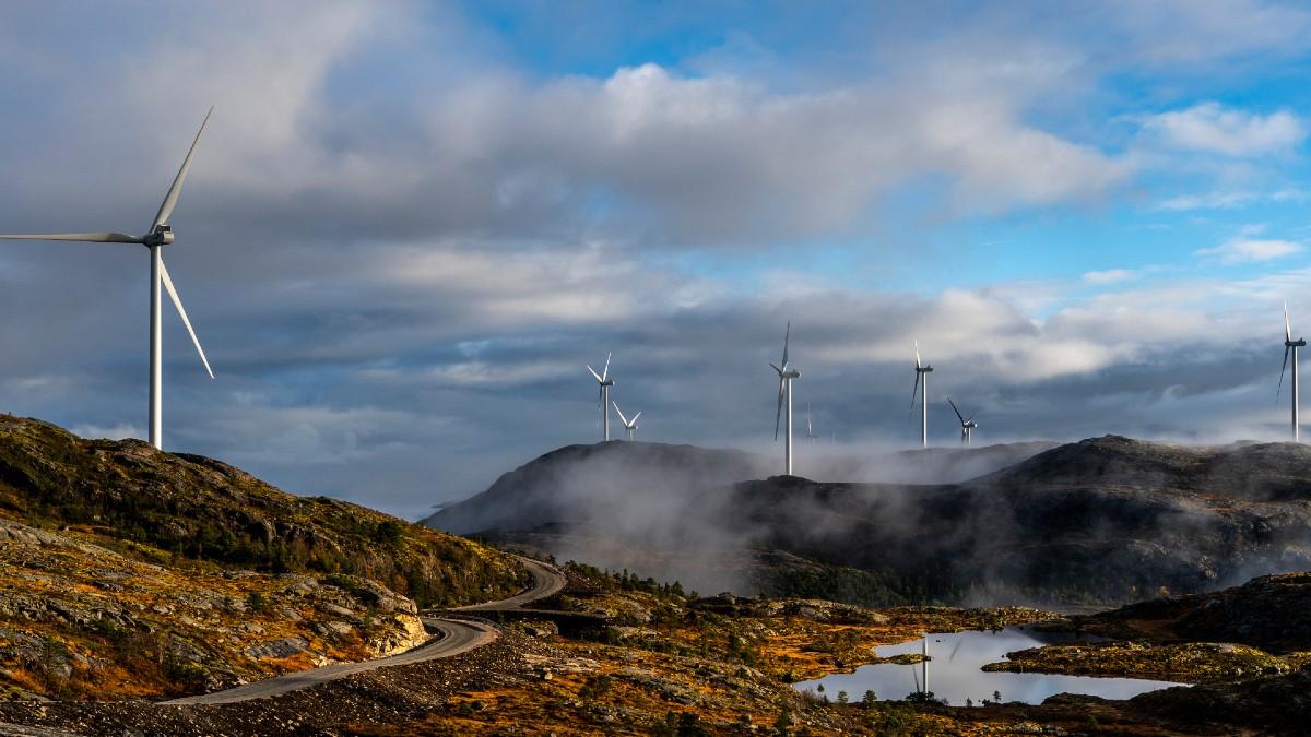 Den danska vindkraftsjätten hyllas som ett förhållandevis säkert kort i den snabbväxande vindkraftsbranschen. (Foto: TT)