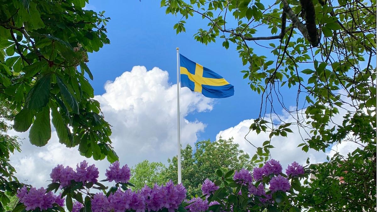 Sverige utklassar resten av världen