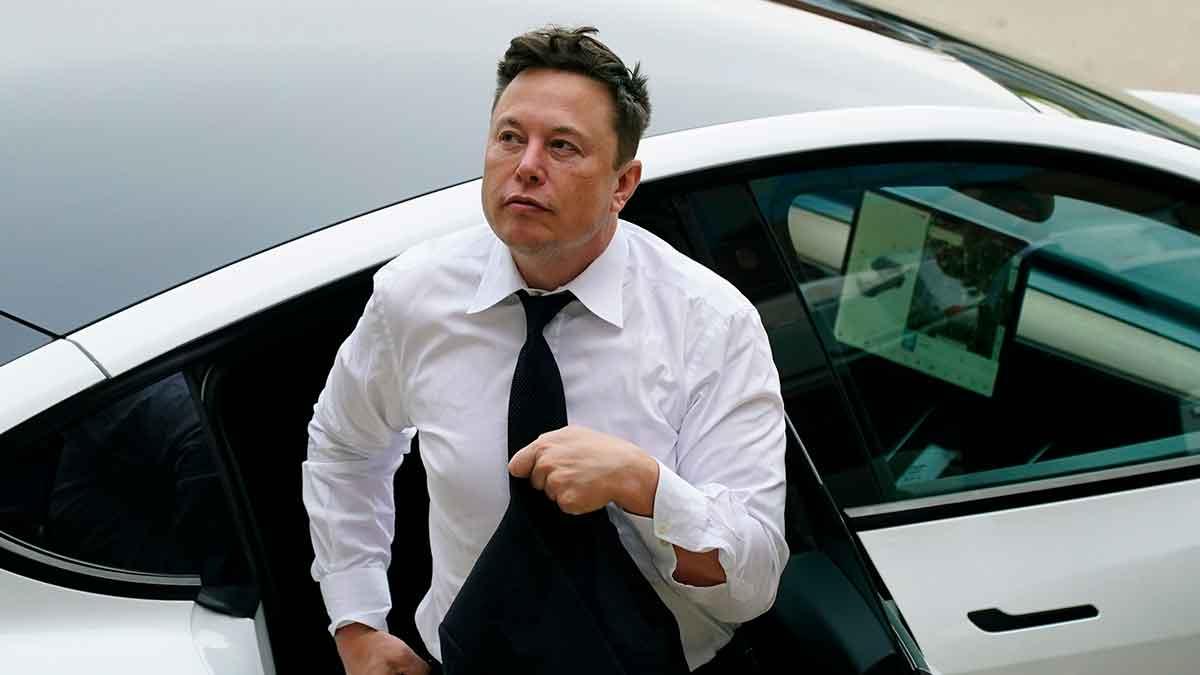 Elon Musk orgie