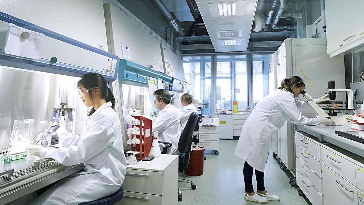 Bayer nytt läkemedel mot hjärtsvikt godkänt i EU
