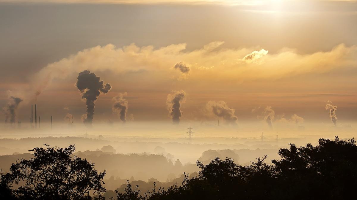 Miljöanalys visar på nedgång förvissa aktier
