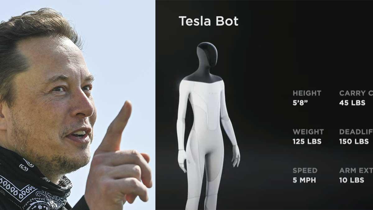 robot Tesla