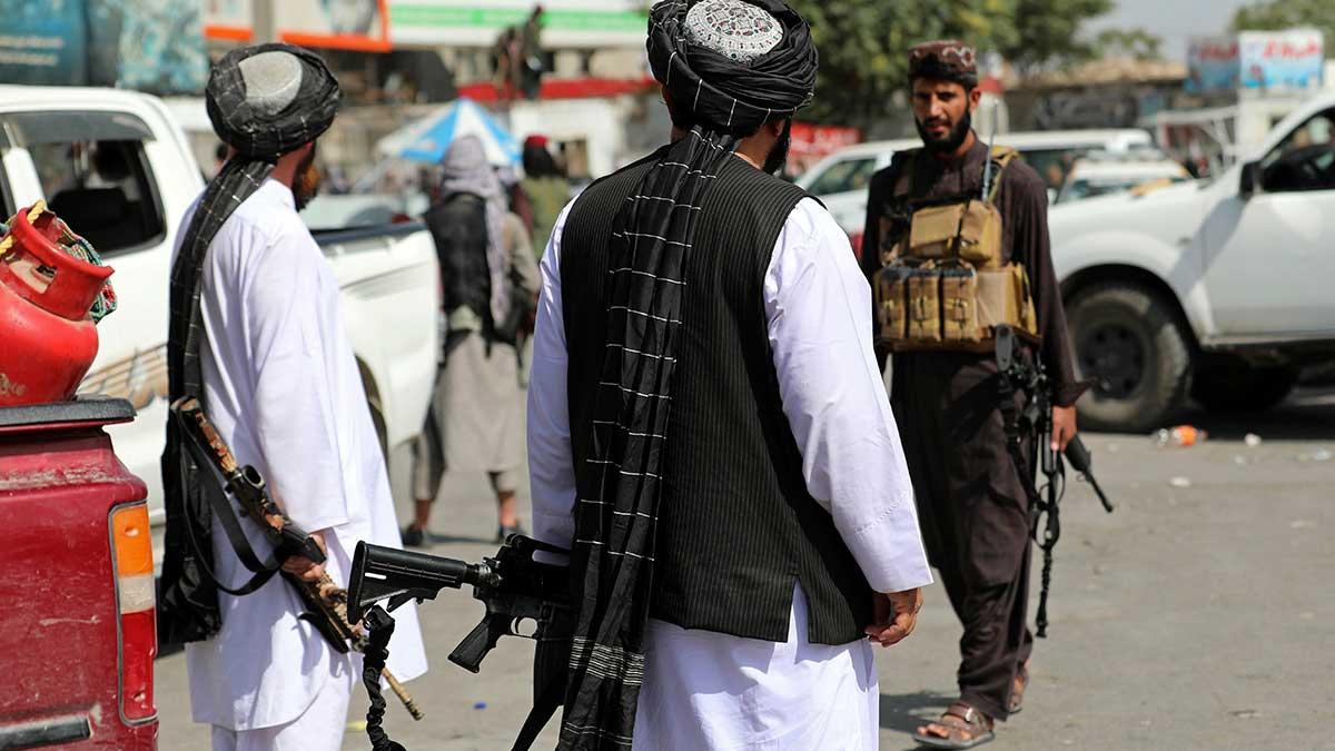 talibanerna fyndigheter