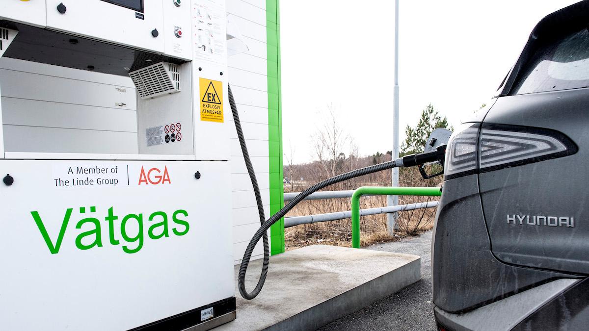 Vätgas är fortfarande ett förnybart alternativ att räkna med. Morgan Stanley listar sina favoriter.