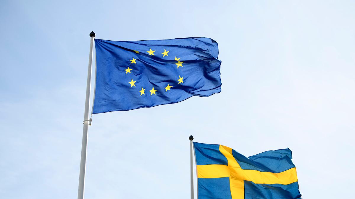 Minimilöner är en fråga där Sverige och Danmark har hamnat på kollisionskurs med resten av EU.