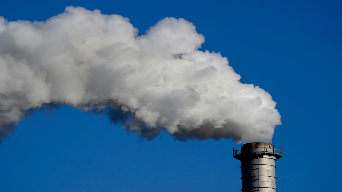 EU ska plocka bort CO2