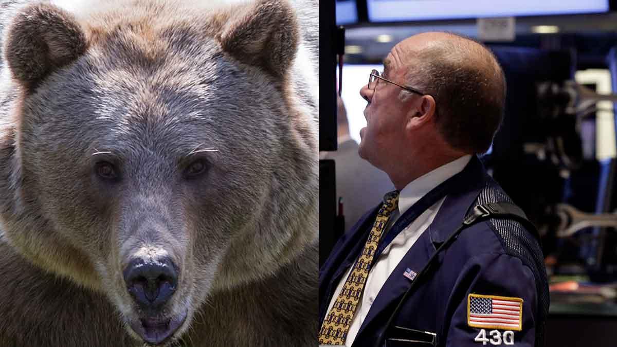 björnen Wall Street