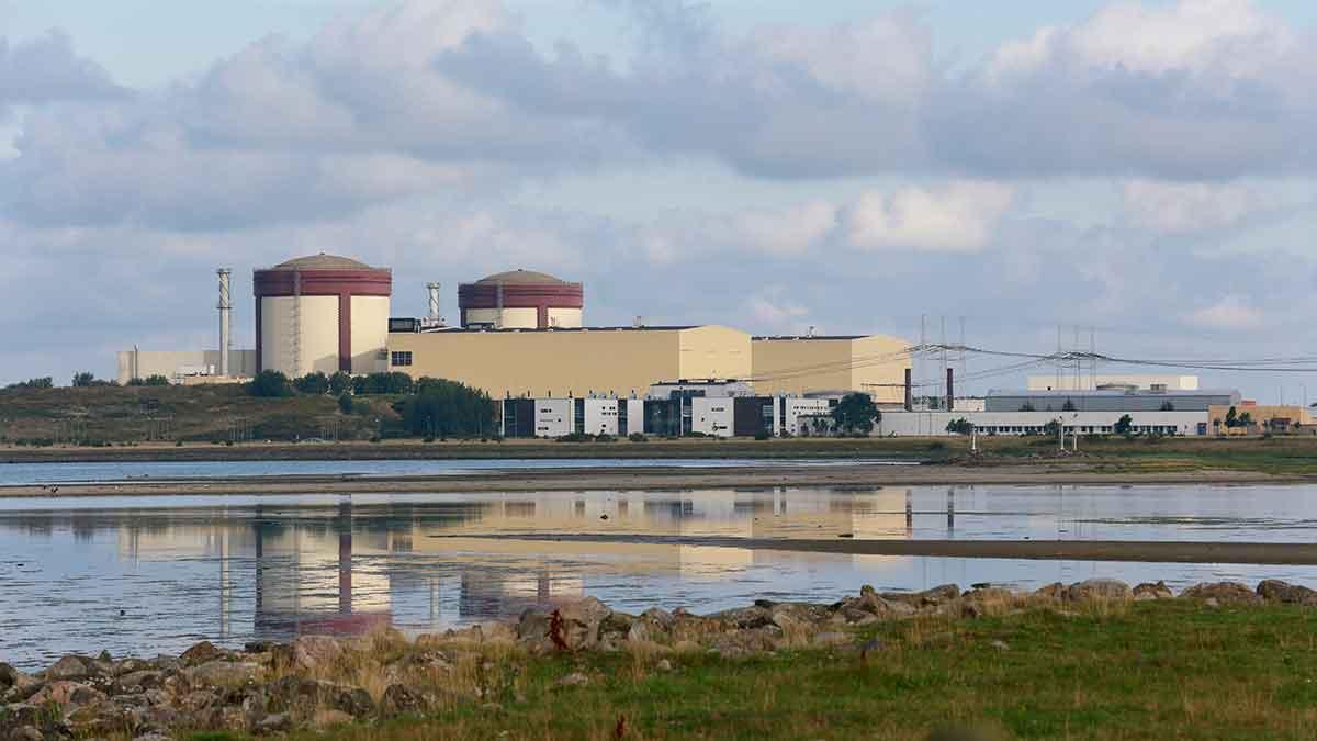 Ringhals reaktor