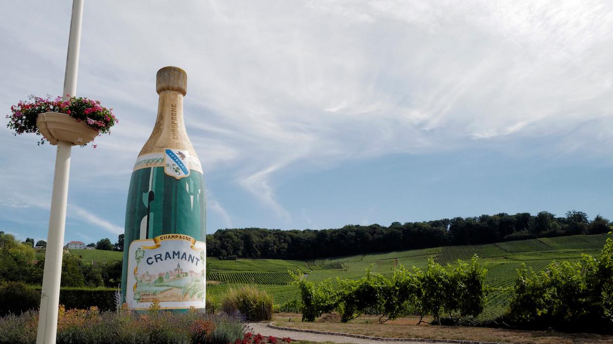 Champagne-kris – dyrare bubblor efter dåliga skördar
