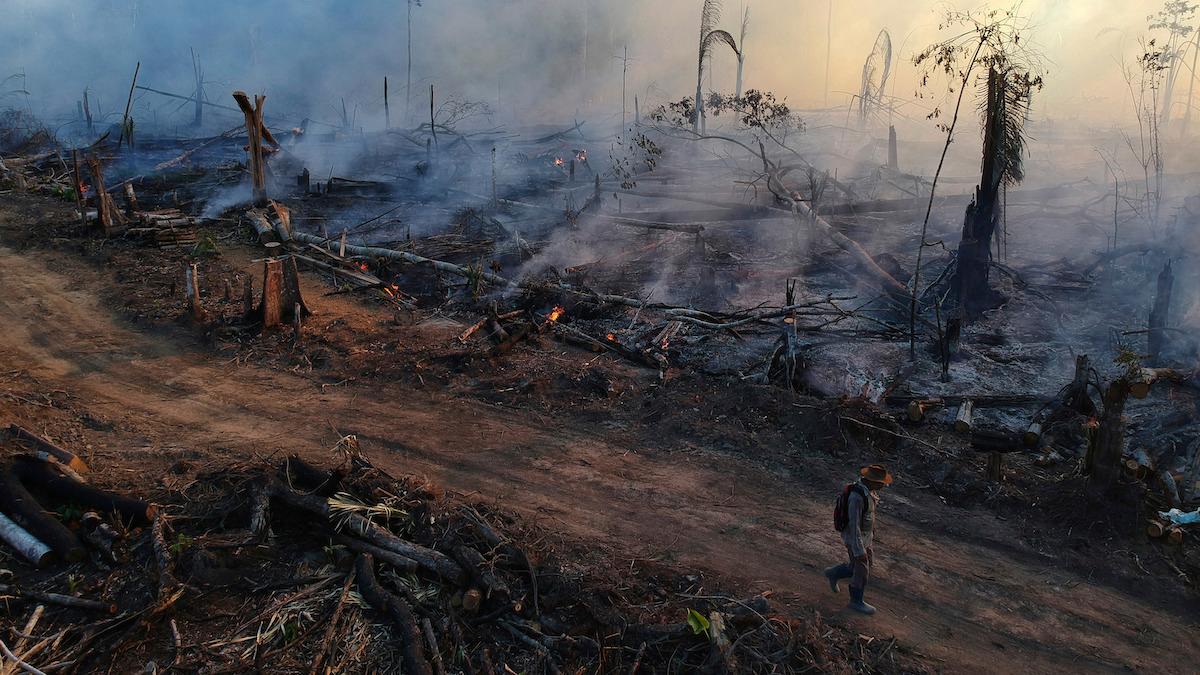 Amazonas under en av de häftiga bränderna 2020.