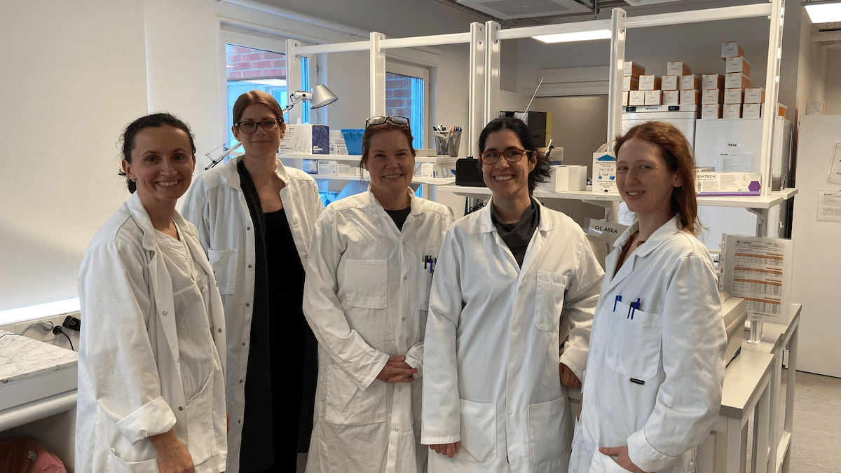 I en studie ska svenska Icellate med hjälp av ett test kallat Cellmate lägga grunden för nya metoder att upptäcka prostatacancer i blodprov.