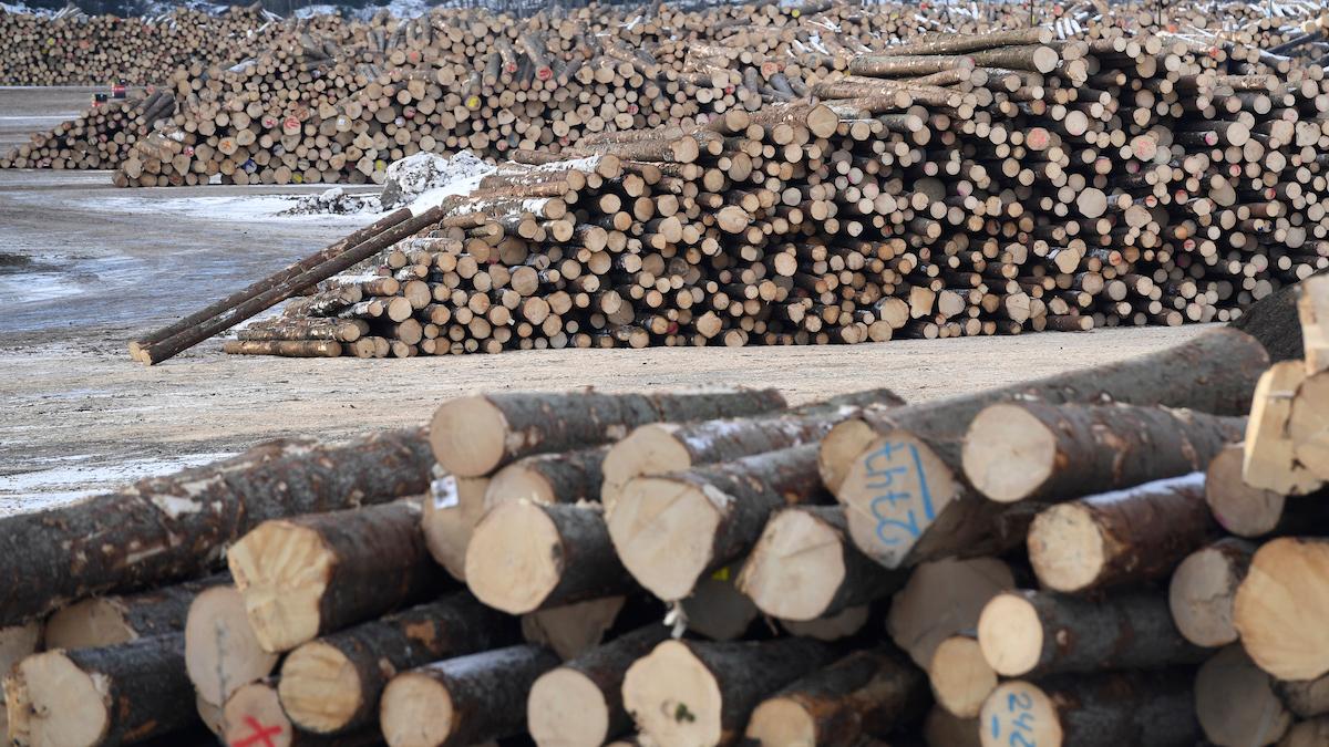 Afry har fått ett teknik- och konsultuppdrag när Norra Finlands största privata träförädlingsföretag, Pölkky Oy, ska renovera två sågverk.