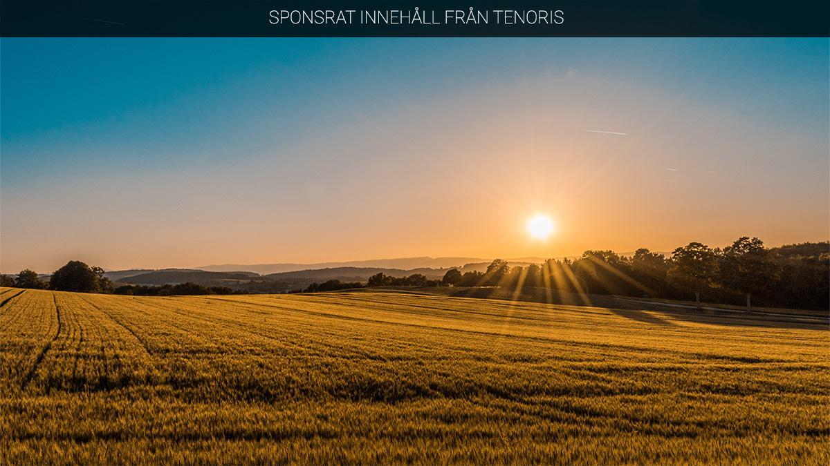 fonden Tenoris One