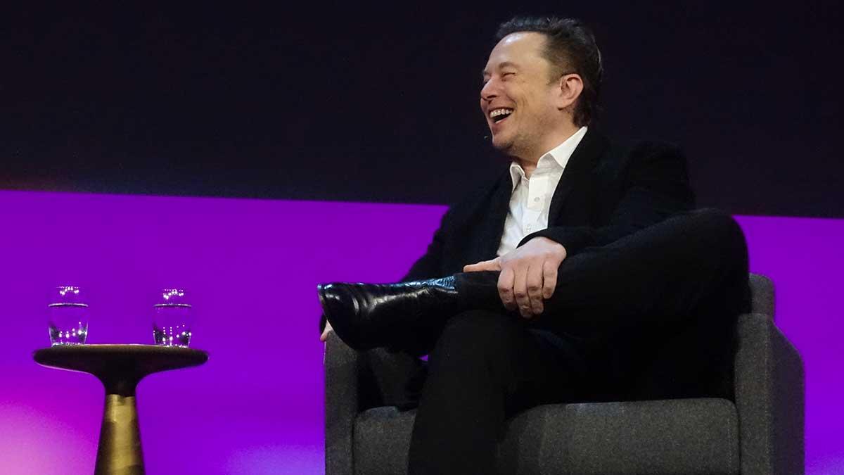 Elon Musk rik
