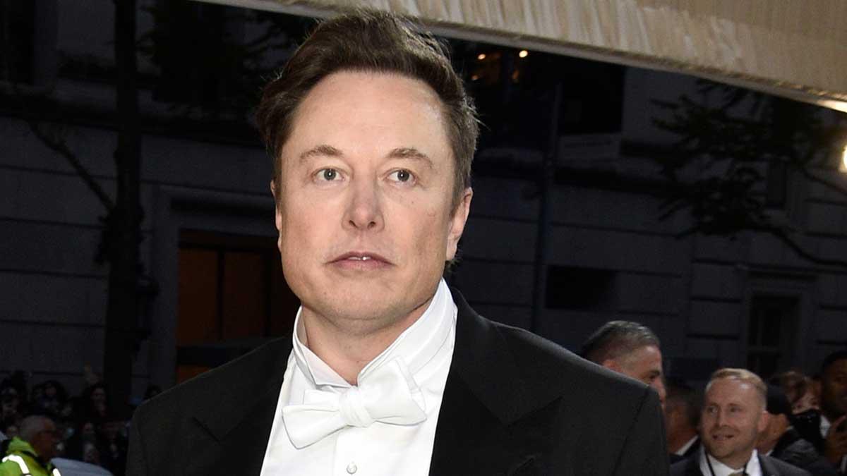 Elon Musk blottat