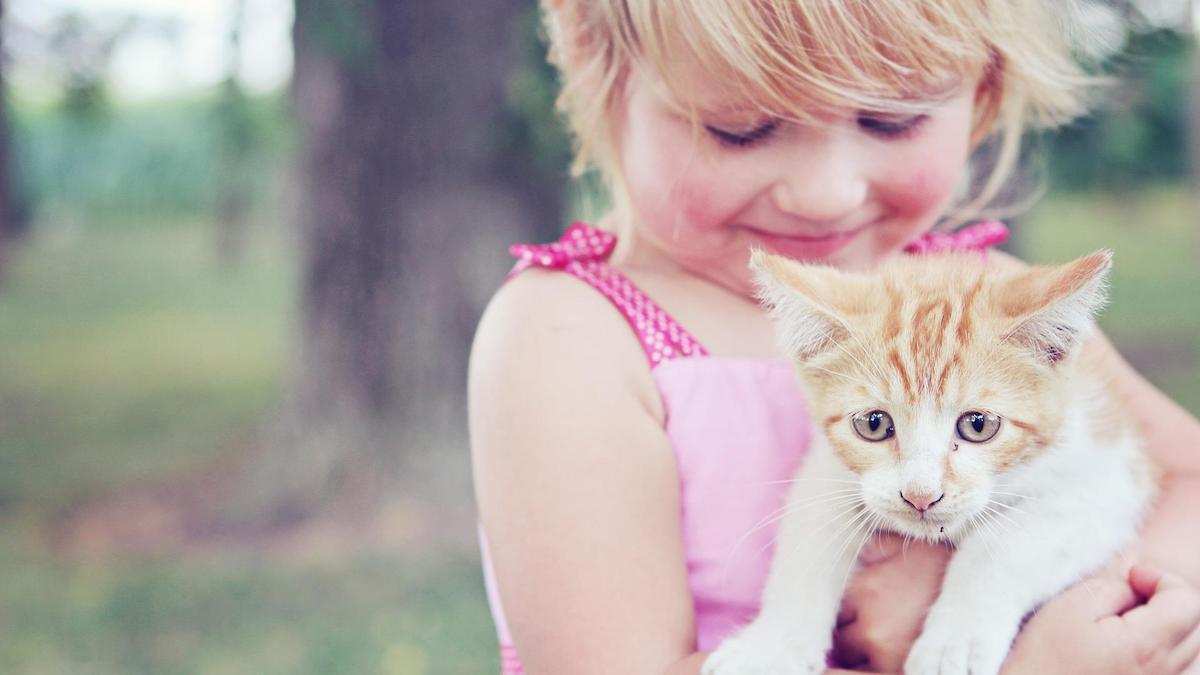 Flera studier pekar på att husdjur har en gynnsam effekt på barns utveckling
