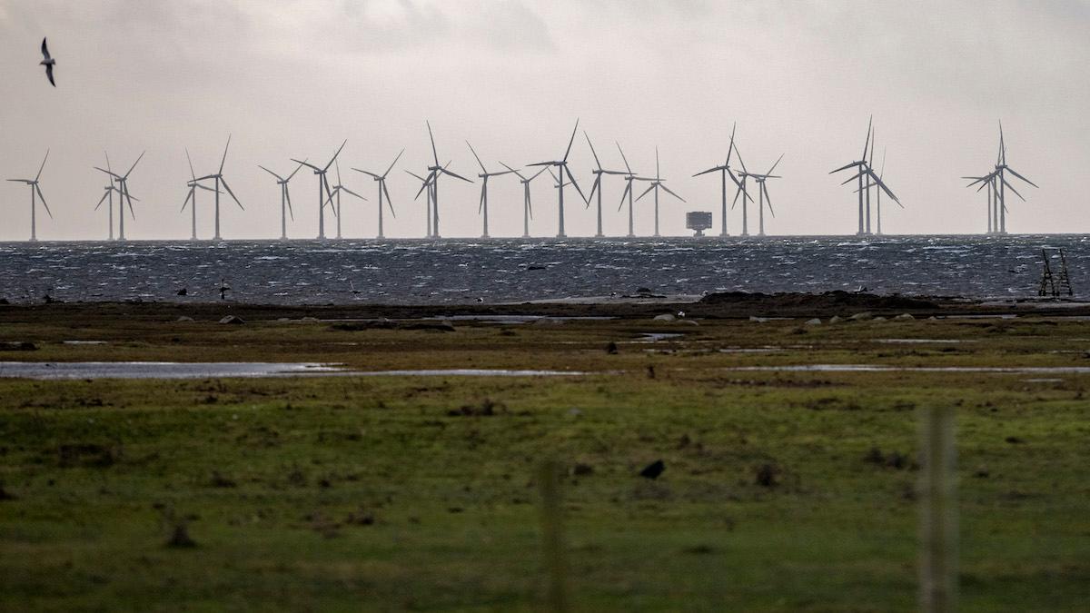 Stort intresse för vindkraft – men byråkrati försenar byggen