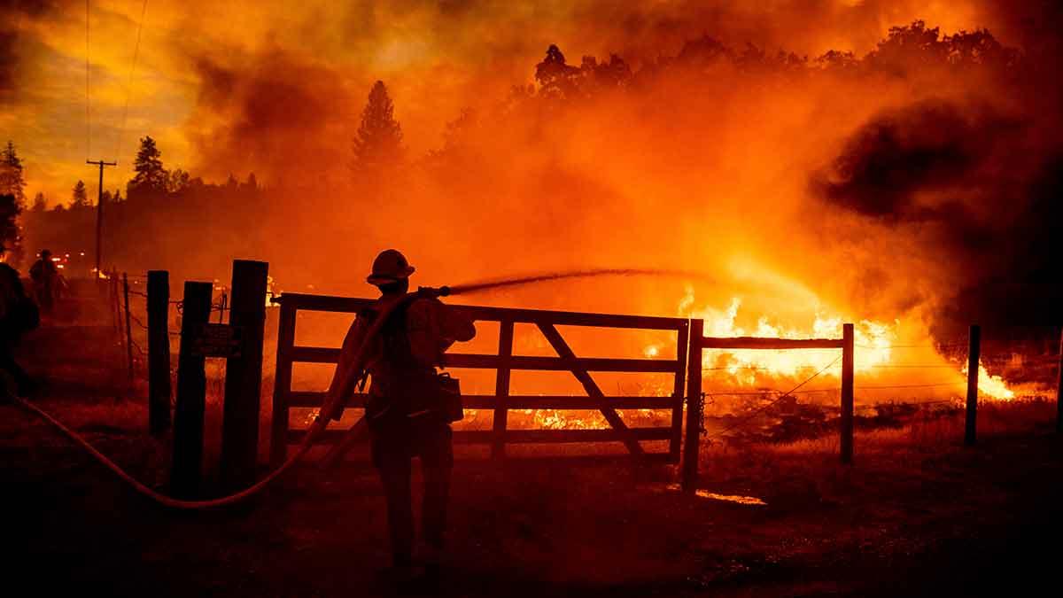 USA skogsbrand
