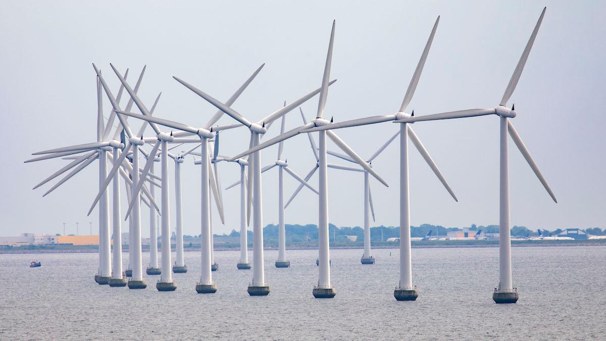 I Sverige används ett marknadsdrivet system för utbyggnaden av havsbaserad vindkraft men Norge väljer i stället ett centralstyrt system för sin utbyggnad.