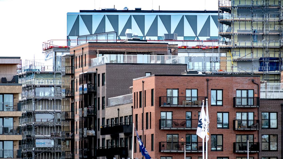 I den framväxande stadsdelen Oceanhamnen i Helsingborg testas alger för rengöring av avloppsvatten med målet att återvinna näring från avloppet