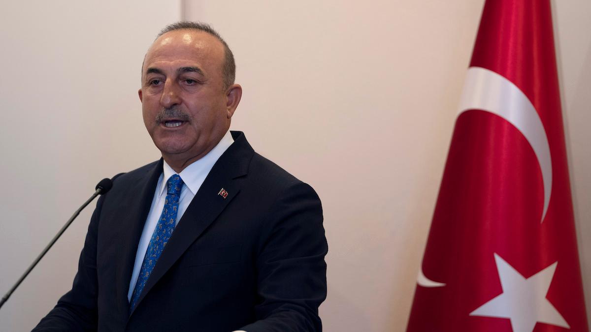 Turkiets utrikesminister Mevlut Cavusoglu tror att ökningen av antalet avslag av turkiska medborgares visumansökningar till Schengenländerna görs för att ge Turkiets president problem inför valet