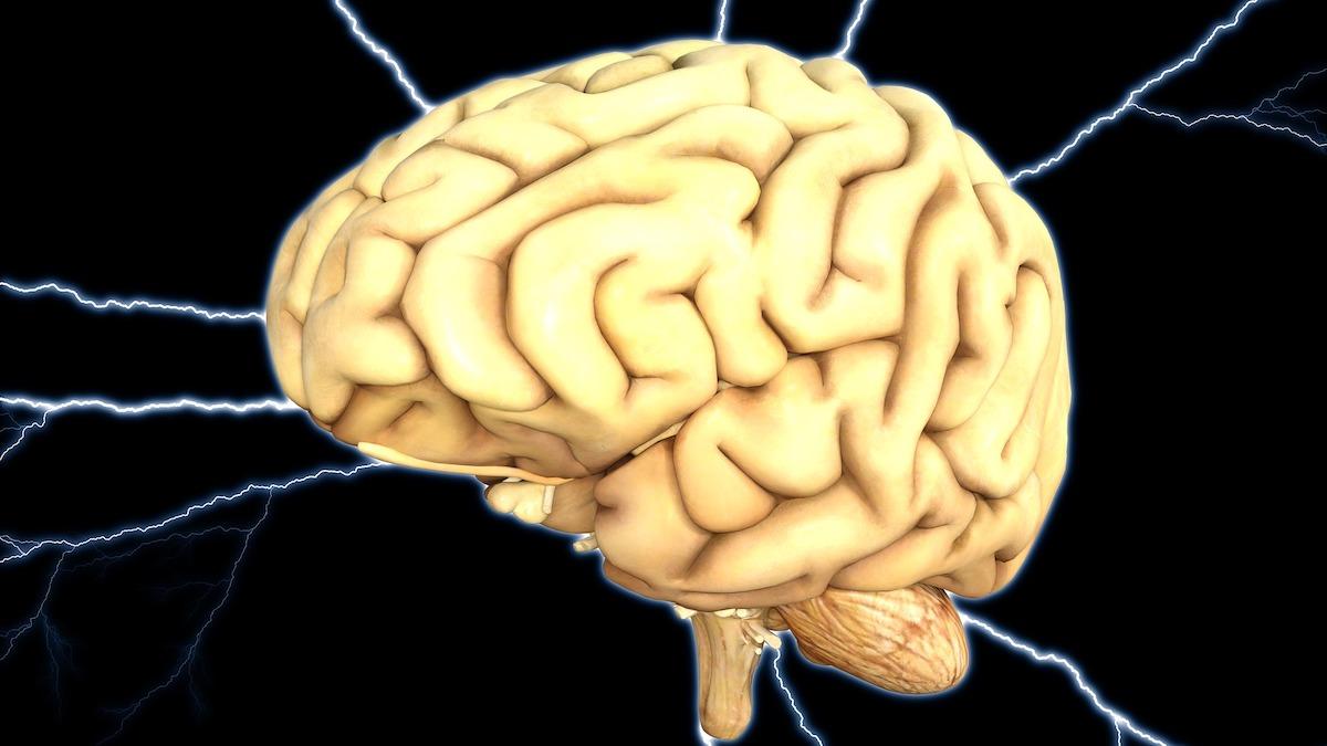 En studie visar att elektrisk stimulering av hjärnan med elektroder som sätts djupt inne i hjärnan och som härmar hjärnans sätt att koda minnen kan förbättra minnet hos skadade hjärnor