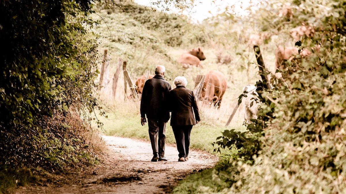 En ny studie visar att dagliga promenader på minst 3 800 steg minskar risken att drabbas av demens.