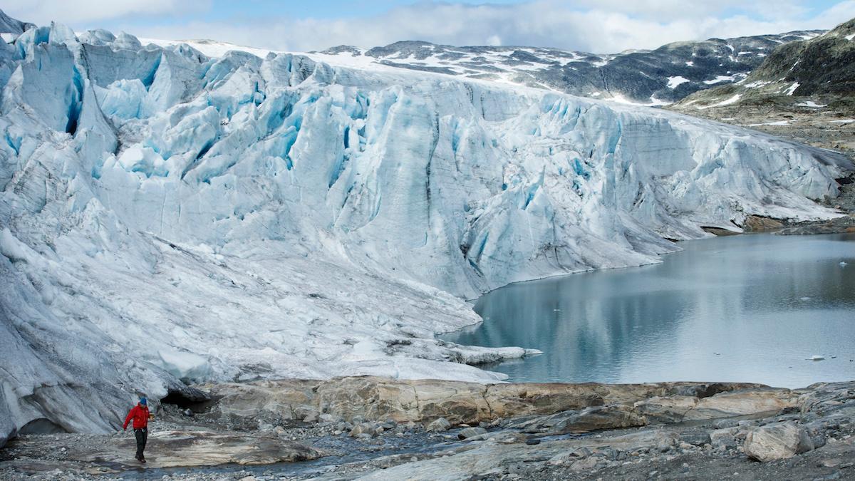Ny forskning visar att risken för virus som för första gången infekterar nya värdar är högre vid smältande glaciärer eftersom de innehåller många okända virus