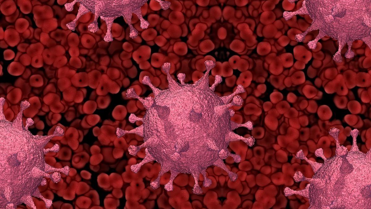 Förändringar i covid-19-virusets proteinspikar kan göra att immunsystemets antikroppar inte känner igen viruset. Den första muterade varianten av undervarianten omikron hade cirka 30 mutationer i genen för spikproteinet. Nu driver omikrons undervarianter smittan världen över