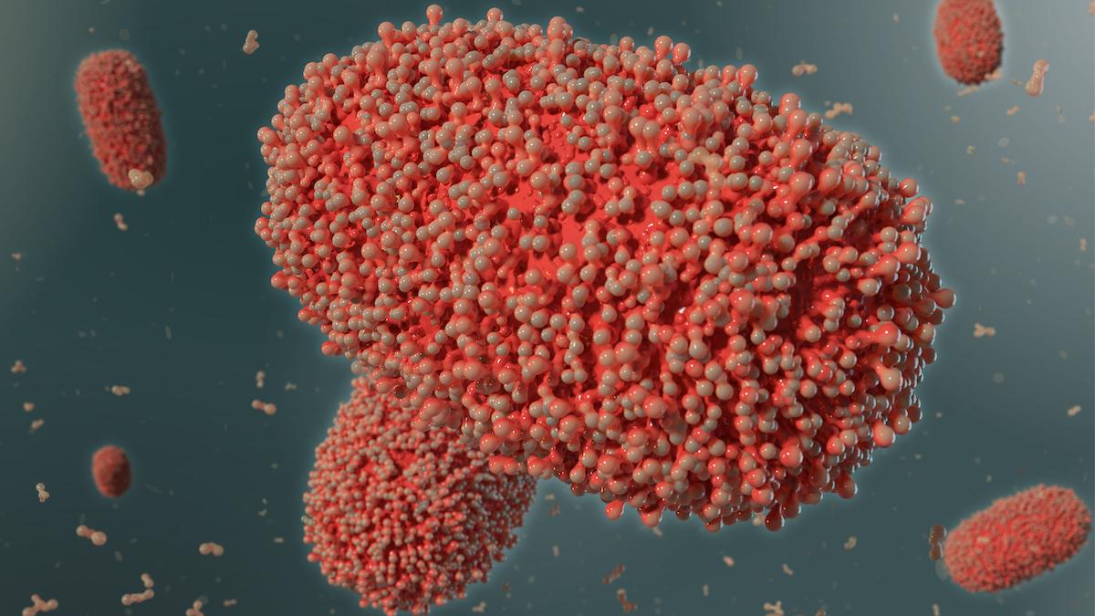 Illustration av viruset som orsakar apkoppor, eller monkeypox, som WHO nu byter namn på