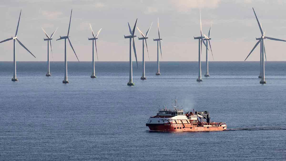 Norska Cloudberry ska bygga en vindkraftpark i havet utanför Oskarshamns kärnkraftverk och en i Vänern
