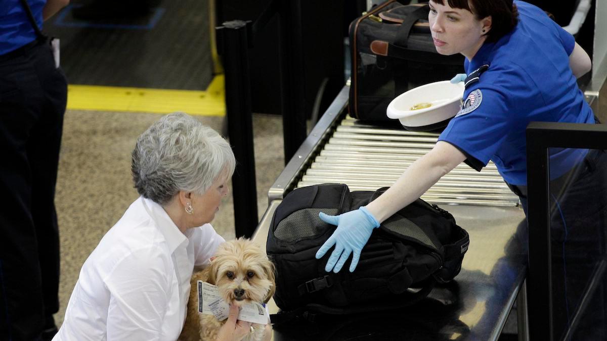 Den här kvinnan gör som man ska och tar ut sin hund ur transportväskan innan den röntgas på flygplatsen